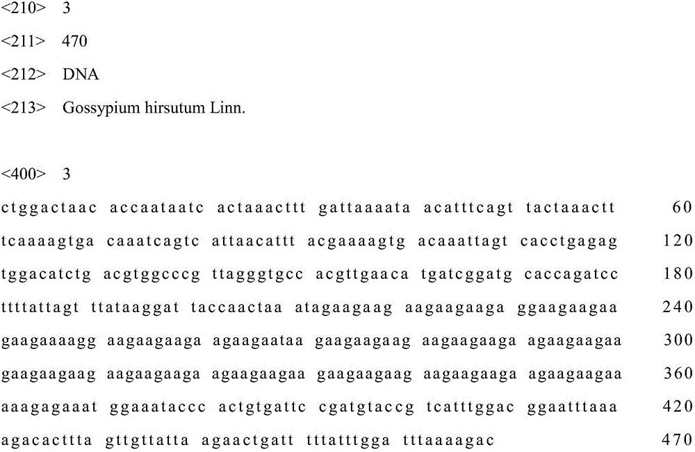 Identification method of upland cotton sub-okra leaf germplasm materials and special primers of method