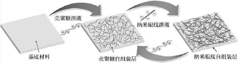 Preparation method of nano silver wire-chitosan self-assembly conductive film coating