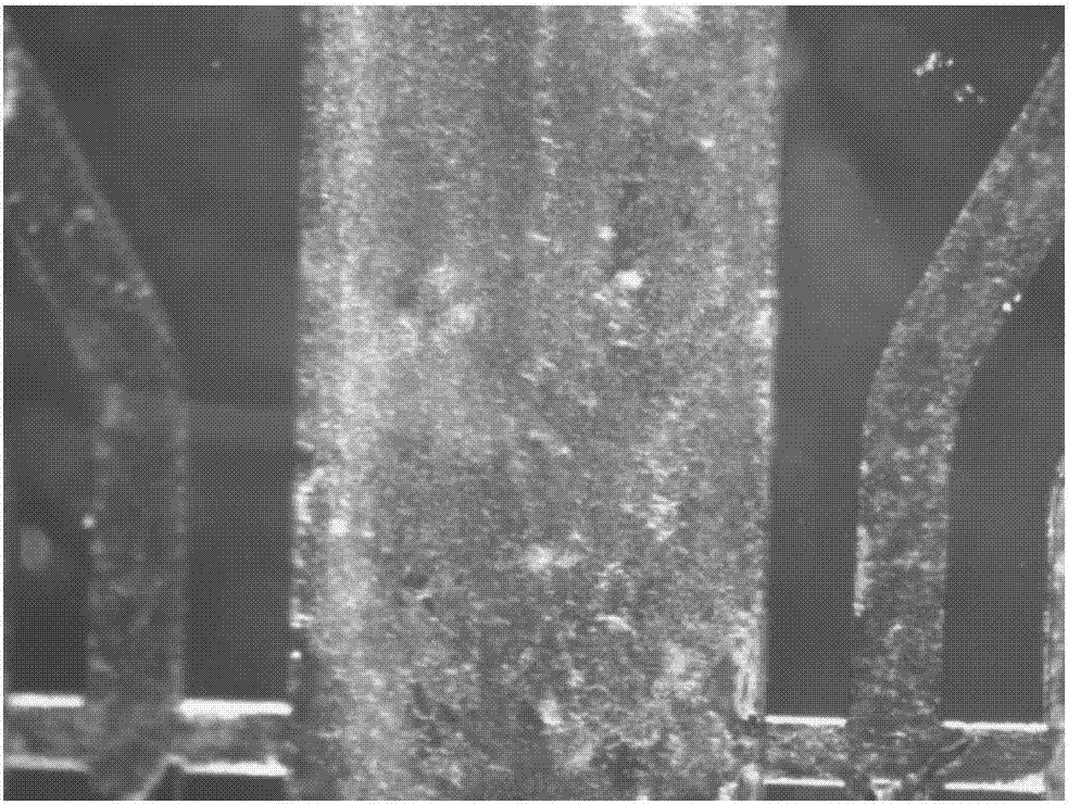 Preparation method of nano silver wire-chitosan self-assembly conductive film coating