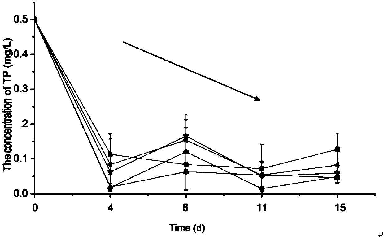 Eutrophic water body repairing compound ecosystem construction method and artificial reef