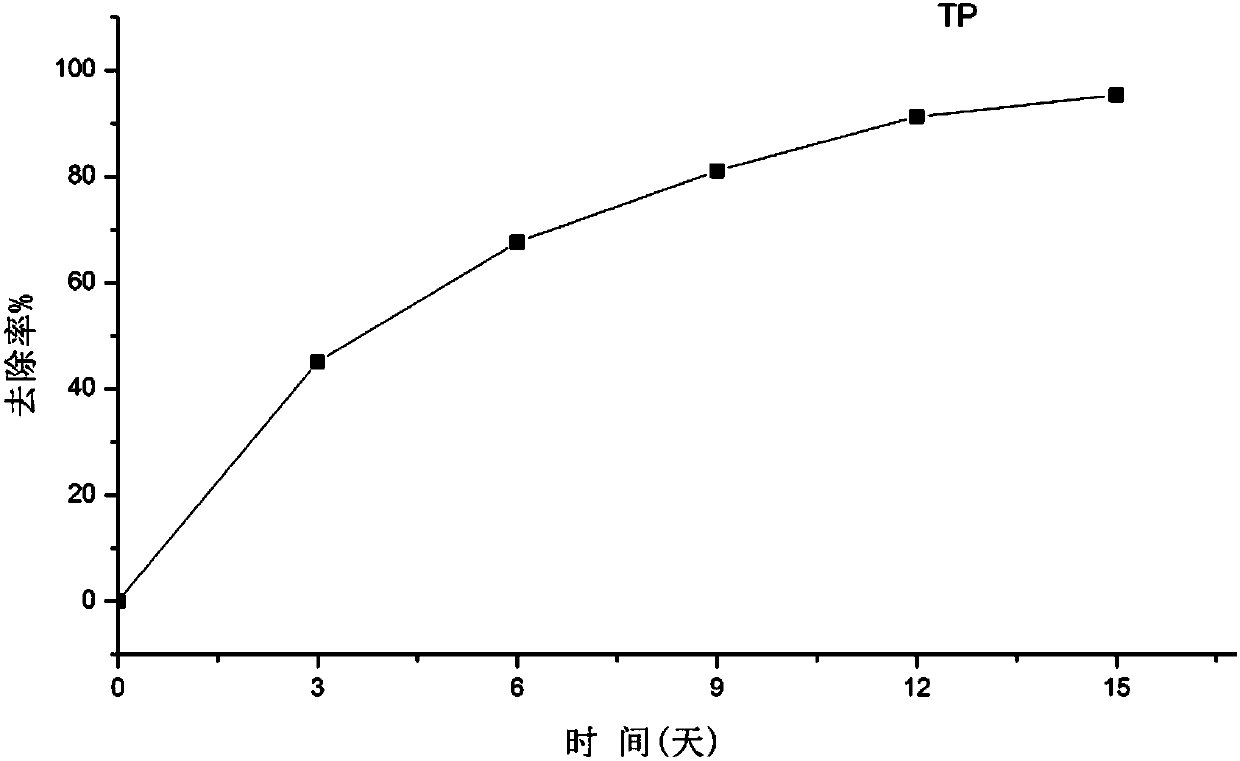 Eutrophic water body repairing compound ecosystem construction method and artificial reef