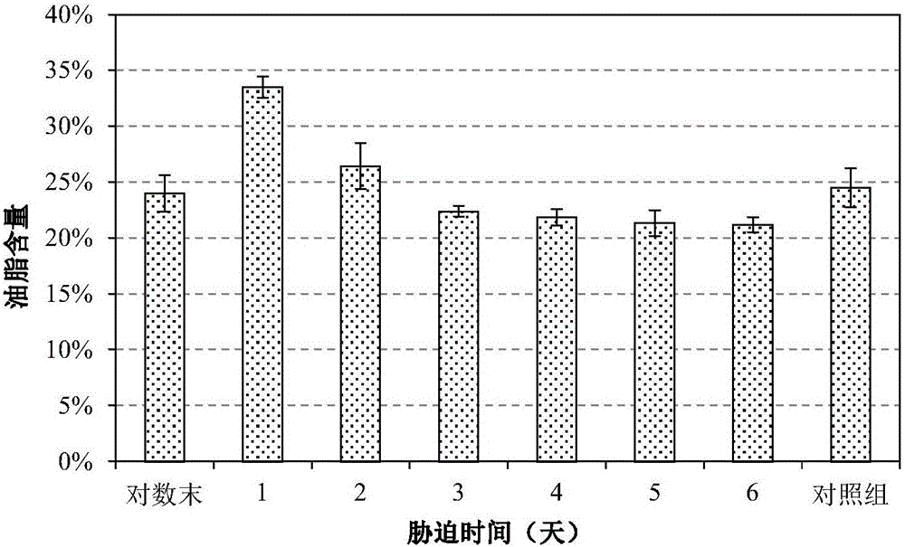 Method for rapidly accumulating lipid by high-temperature stress on micro-algae