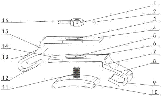 Ingrown nail both-side correction device