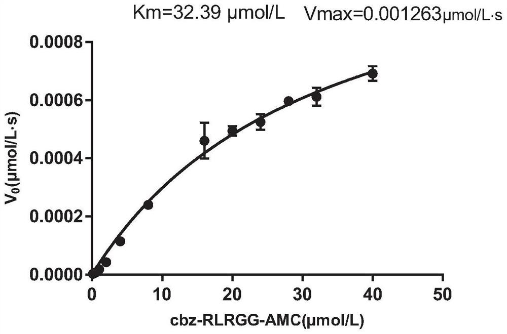 Application of copper gluconate in preparation of a medicine for preventing or treating novel coronavirus infection