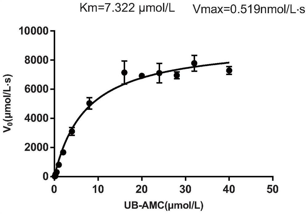 Application of copper gluconate in preparation of a medicine for preventing or treating novel coronavirus infection