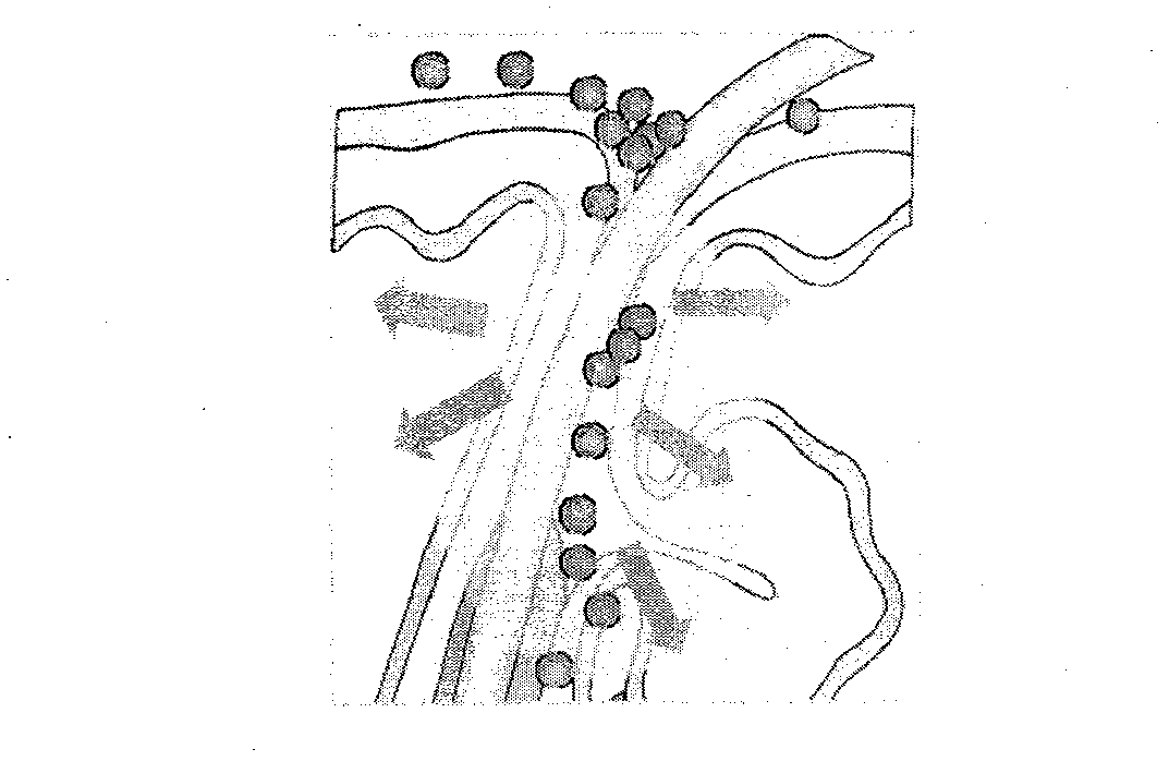 Antimicrobial organic nanometer composition and preparation method thereof