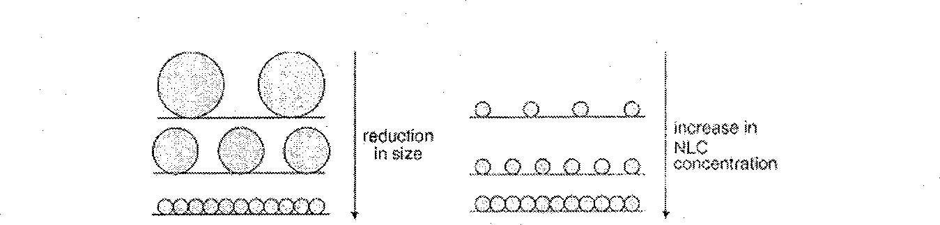 Antimicrobial organic nanometer composition and preparation method thereof