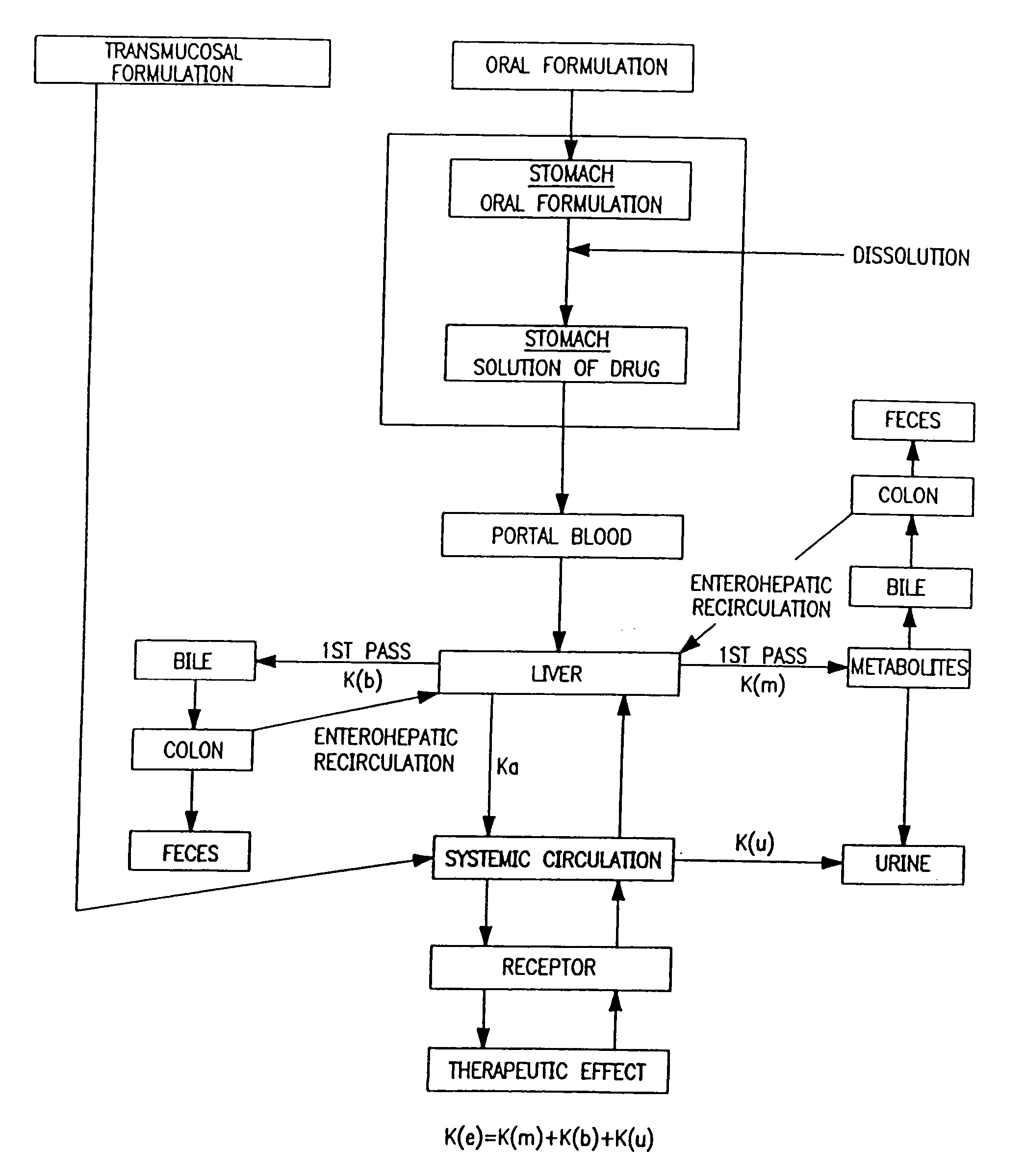 Buccal, polar and non-polar spray or capsule containing drugs for treating disorders of the gastrointestinal tract or urinary tract