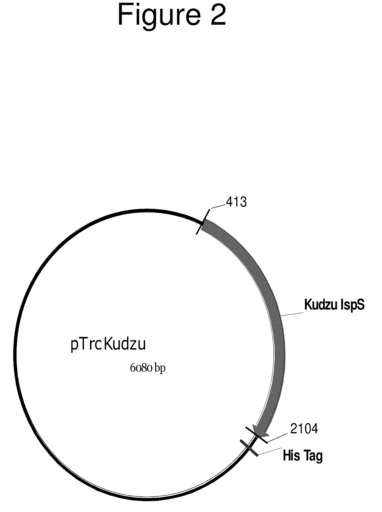 Increased isoprene production using the archaeal lower mevalonate pathway