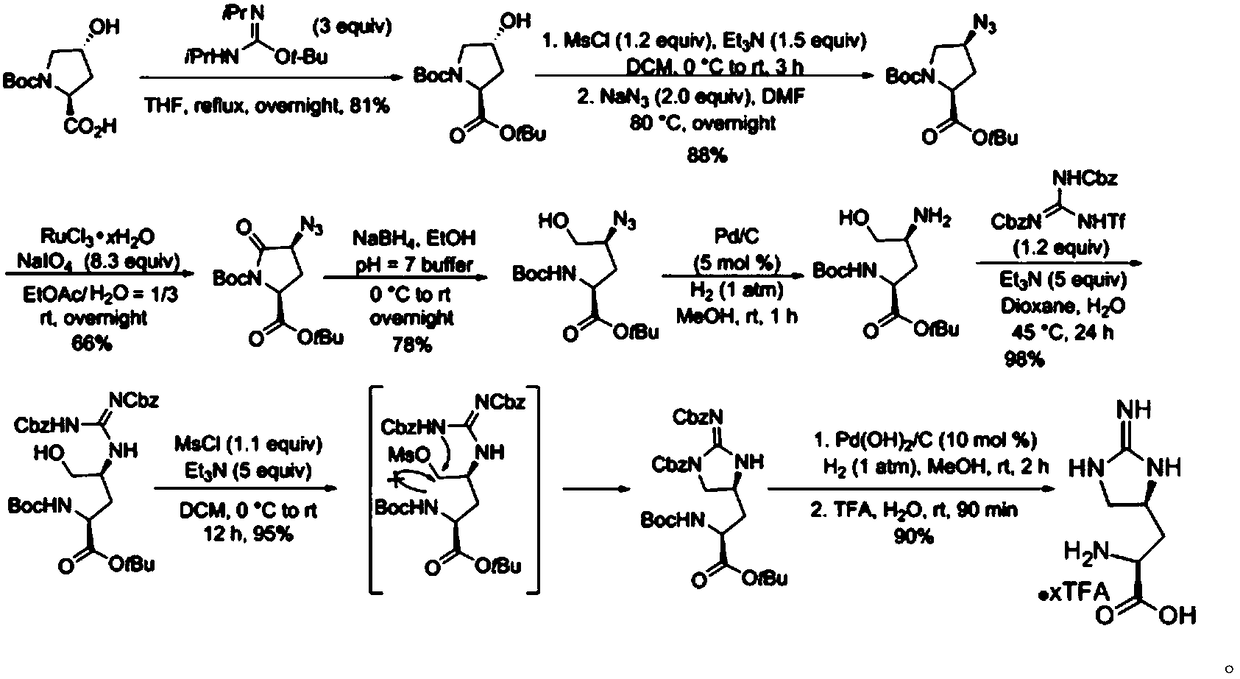 Synthetic route for antibiotic teixobactin and analogs thereof