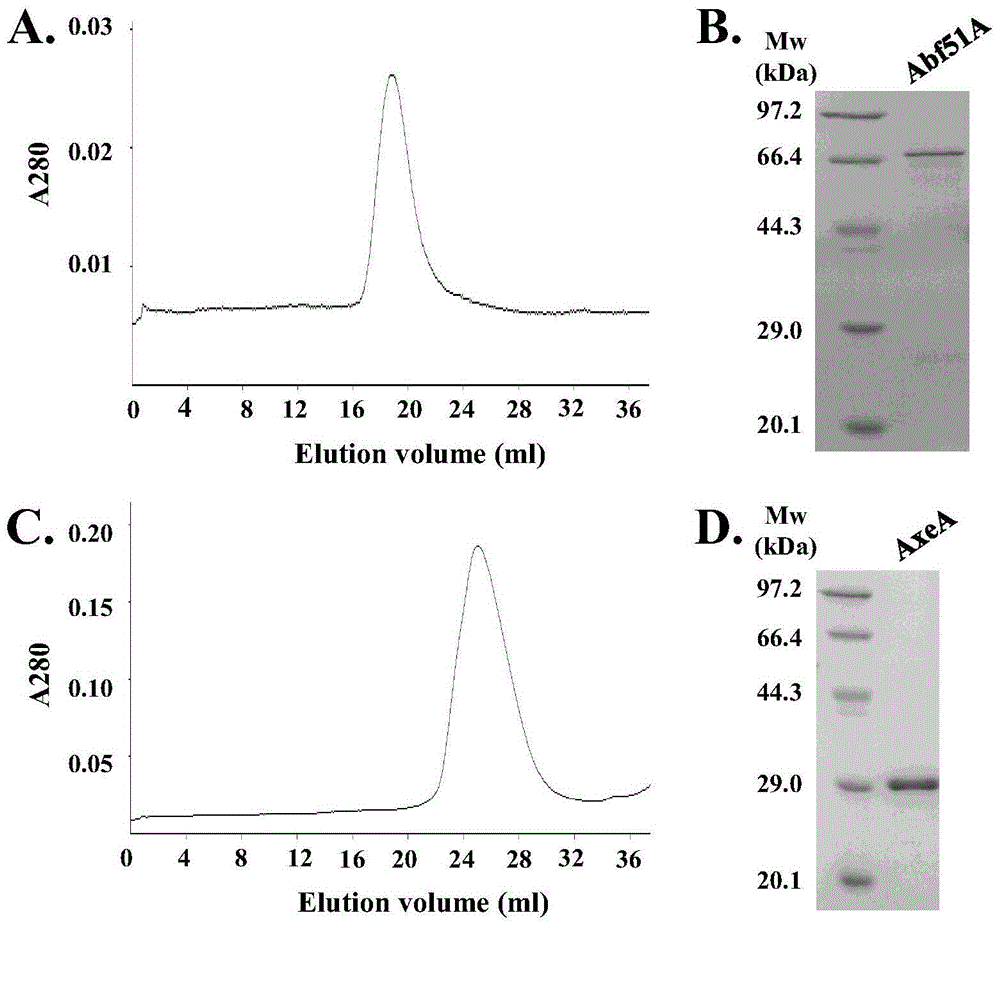 A high-temperature alpha-L-arabinfuranosidease gene, a high-temperature acetylxylan esterase gene, and protein expression and applications of the genes