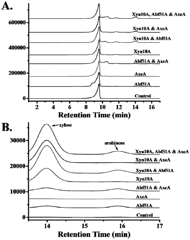 A high-temperature alpha-L-arabinfuranosidease gene, a high-temperature acetylxylan esterase gene, and protein expression and applications of the genes