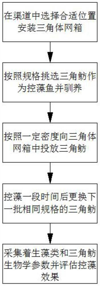 Periphytic algae control method for large-scale artificial water conveyance canal