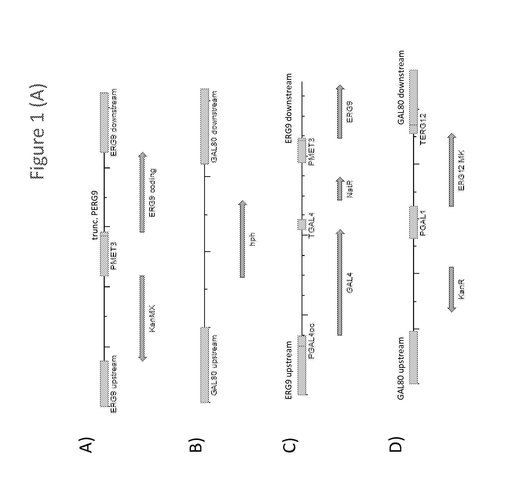 Methods of developing terpene synthase variants