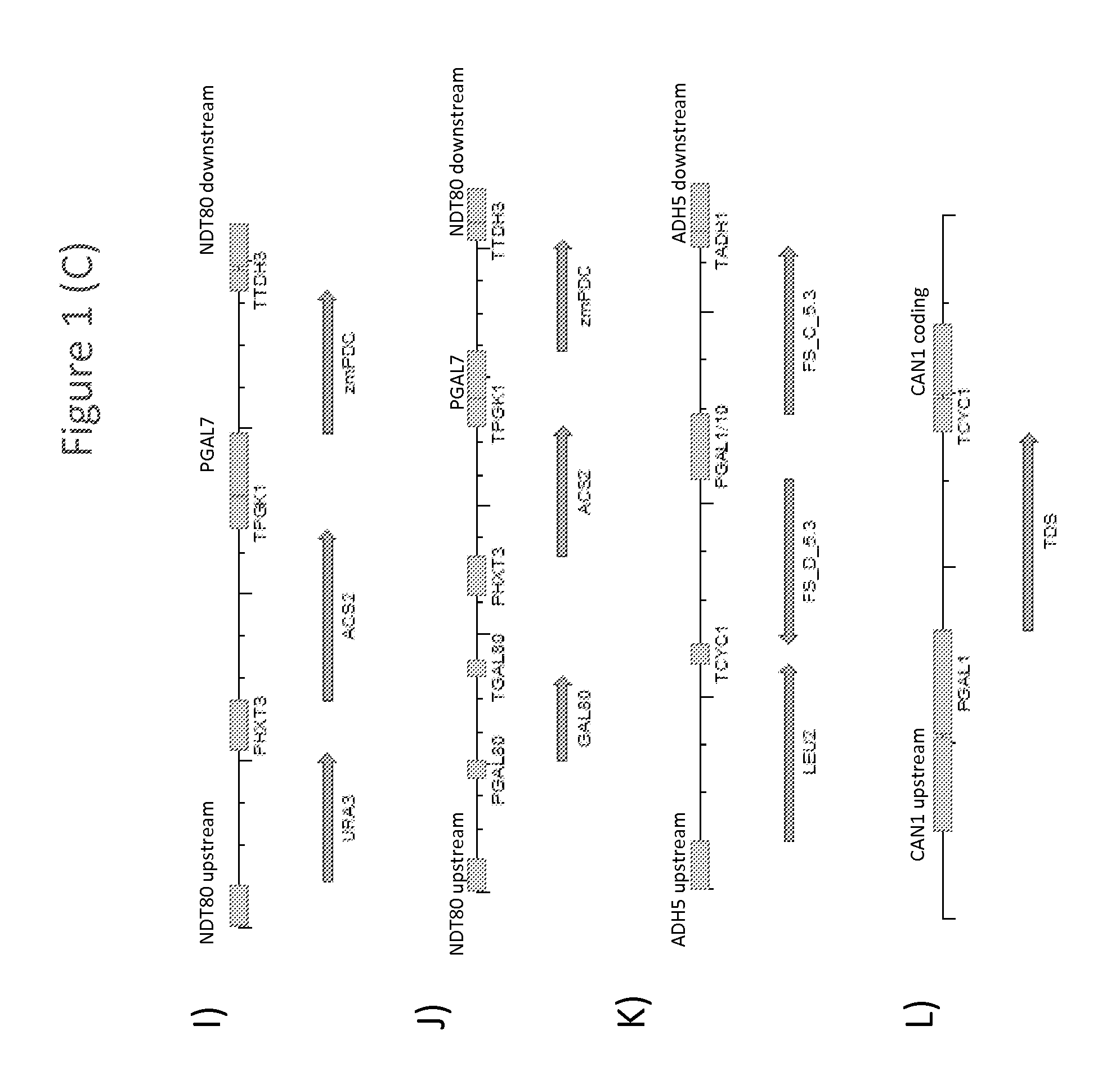 Methods of developing terpene synthase variants