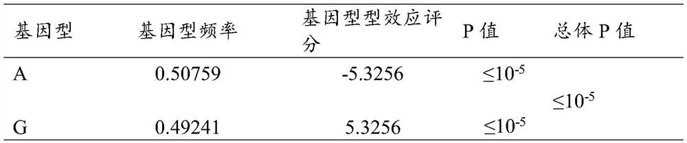 SNP (Single Nucleotide Polymorphism) molecular marker related to chicken black peritoneum character and application