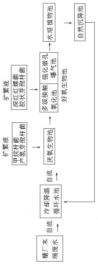 Three-level biological purification process for disposing terminal waste water from sugar refinery