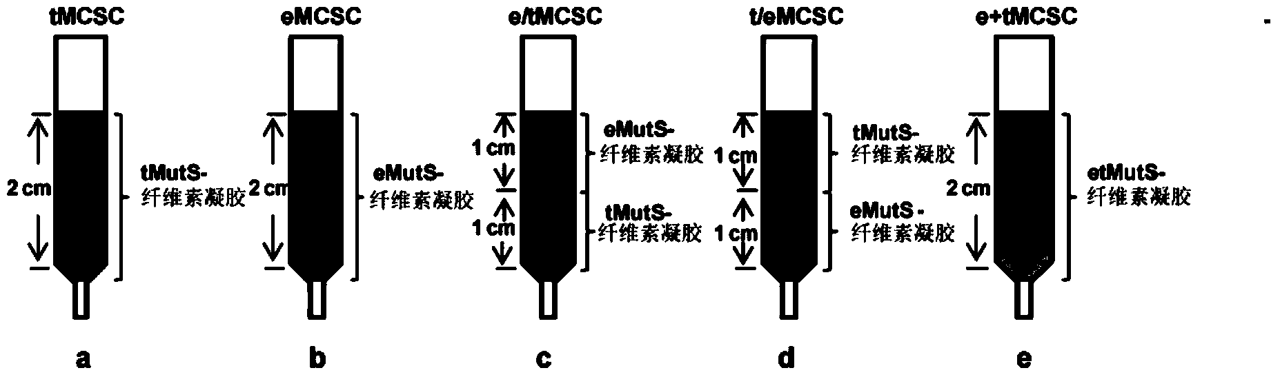 Novel fusion protein of mispairing binding protein and cellulose binding domain 3 and method thereof for removing errors in DNA (Desoxvribose Nucleic Acid) synthesis at high flux