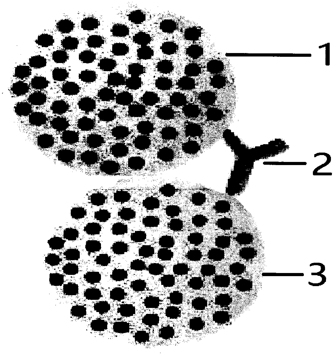 Preparation of gene sequencing calibration reference strain