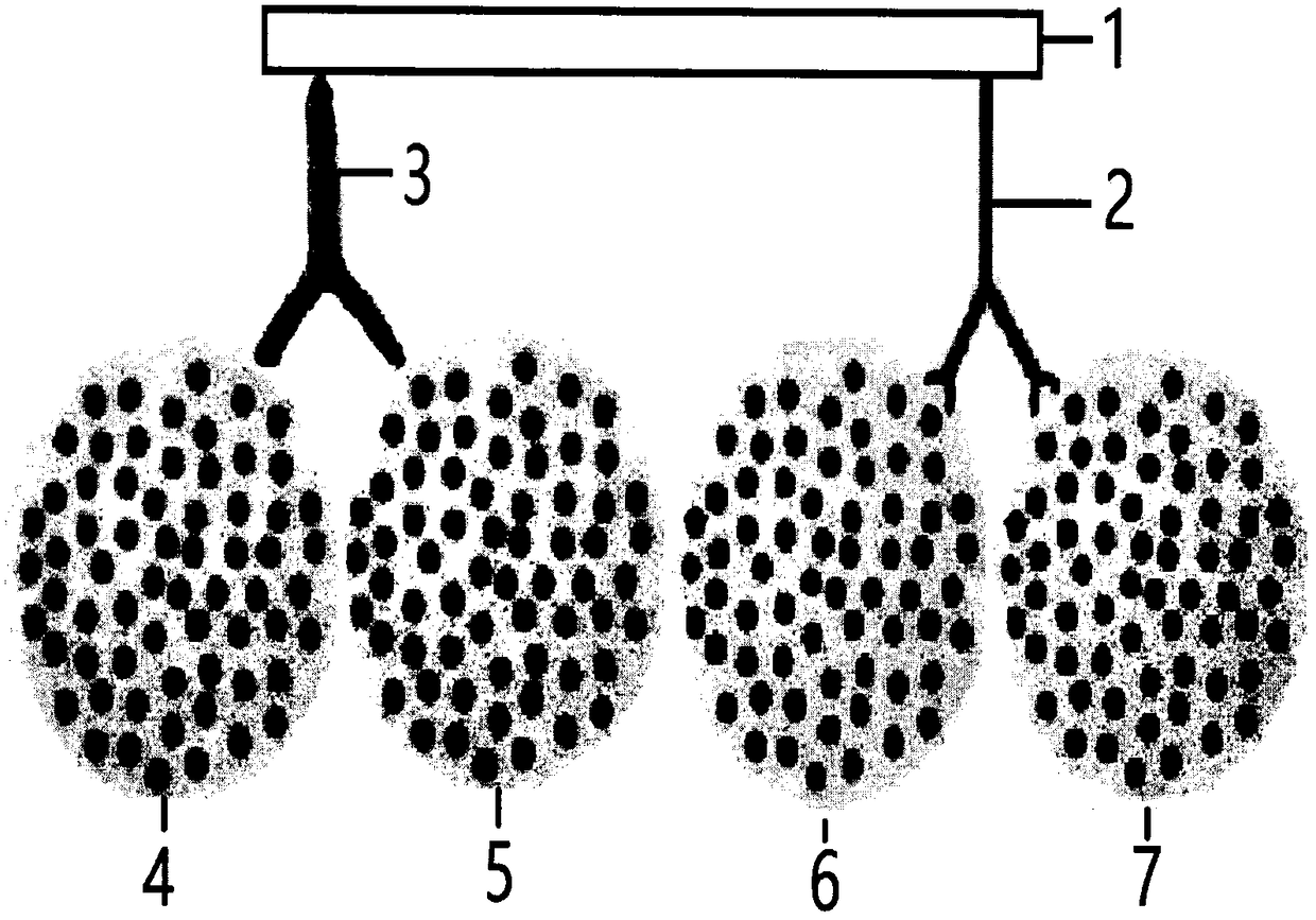 Preparation of gene sequencing calibration reference strain