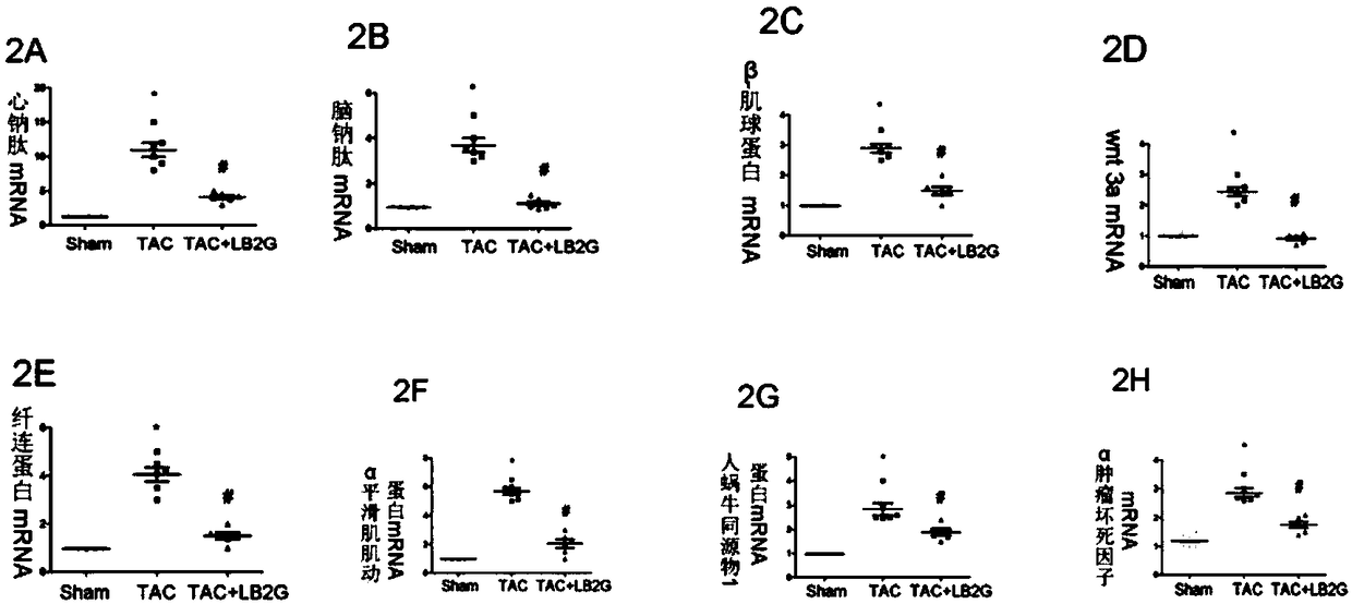 Application of benzimidazole derivatives in preparation of medicines for treating congestive heart failure