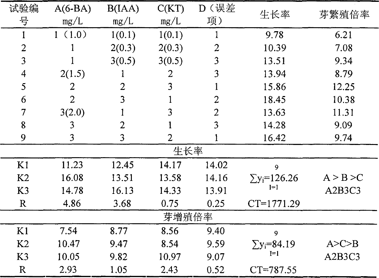 Method for rapidly propagating roots of subprostrate sophora by tissue culture