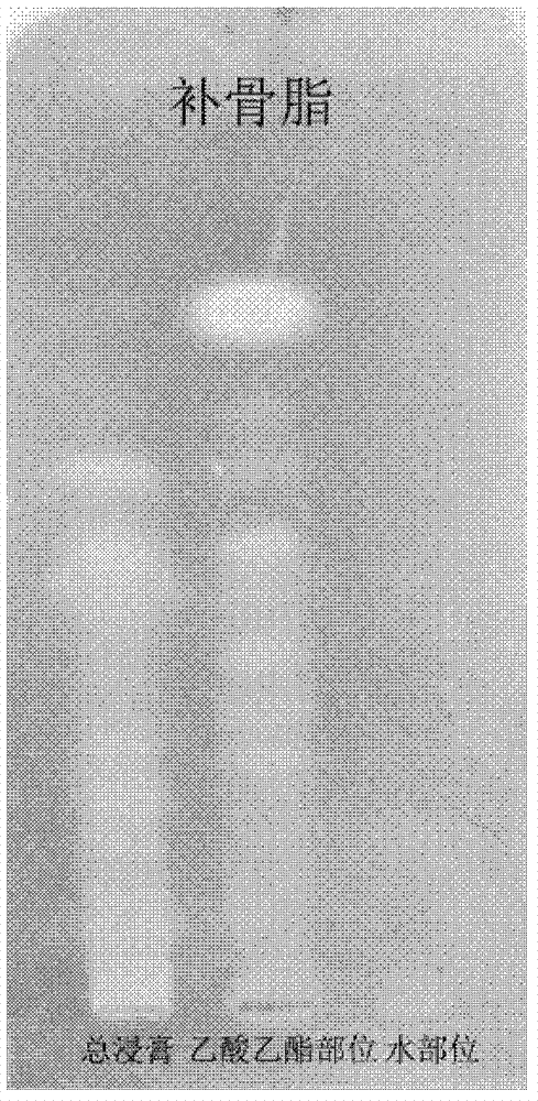 Screening method for xanthine oxidase inhibitors and/or superoxide anion scavengers