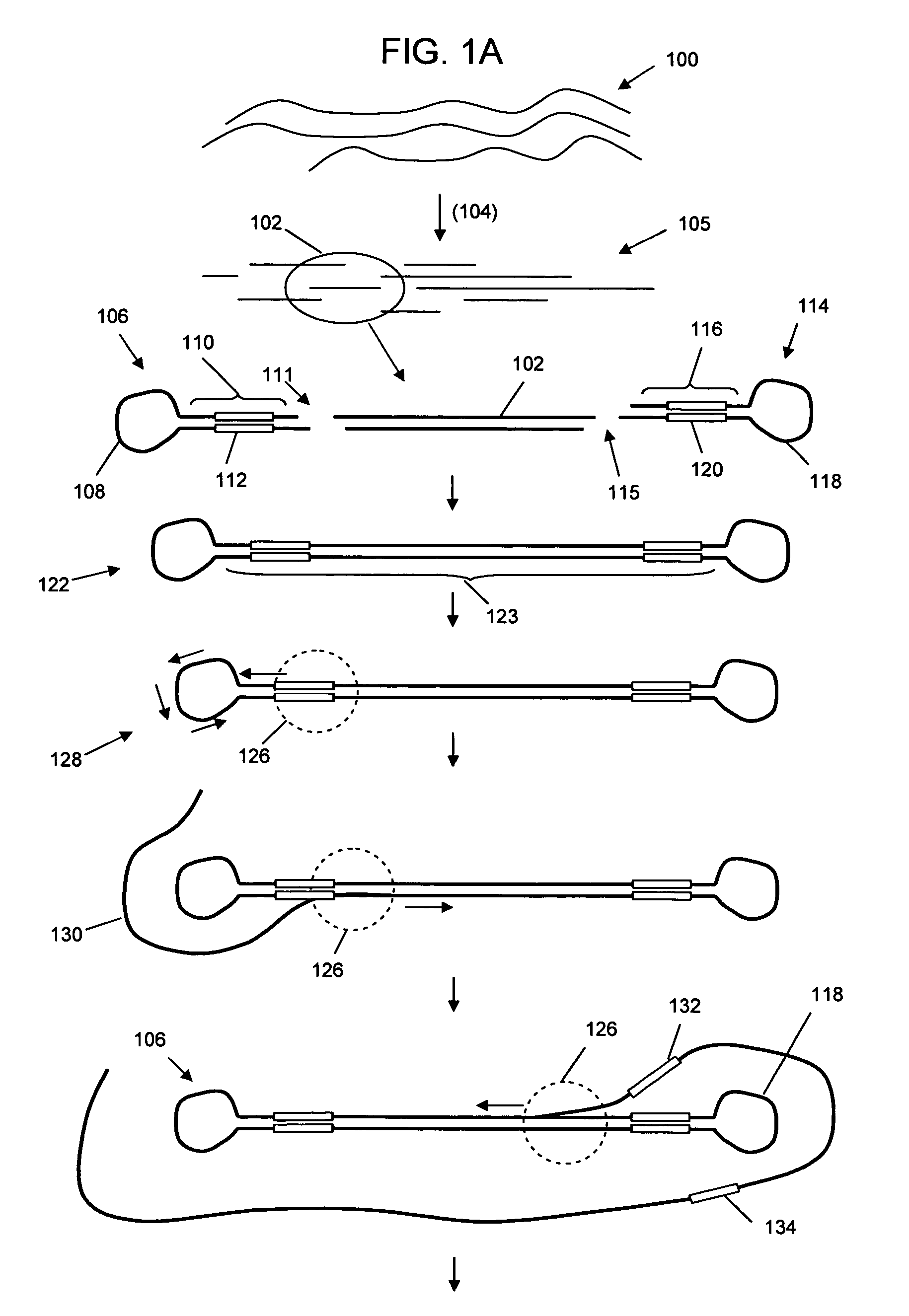 Selective genome amplification