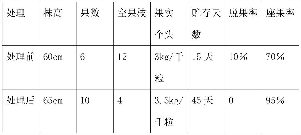 Preparation method and application of environment-friendly probiotic compound bacteria solution