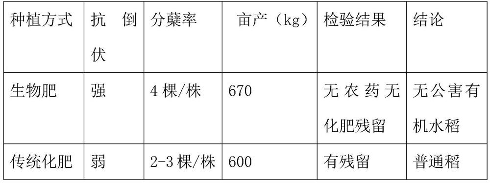 Preparation method and application of environment-friendly probiotic compound bacteria solution