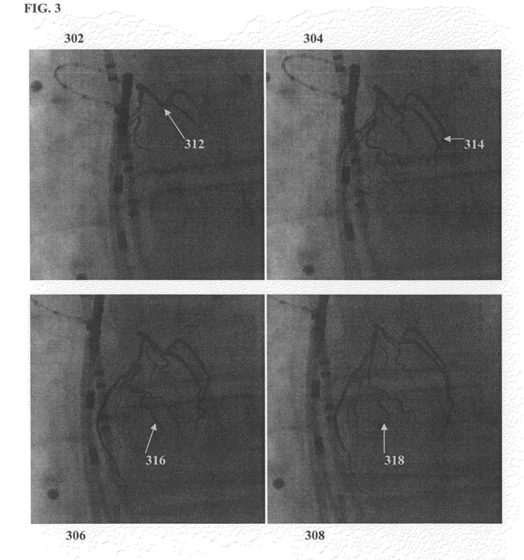 Method and system for evaluating image segmentation based on visibility