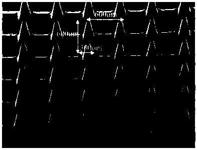 Phenylboronic acid hydrogel-based sugar-sensitive microneedle pad and preparation method thereof