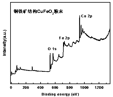 Delafossite structure CuFeO2 powder and preparation method and application thereof