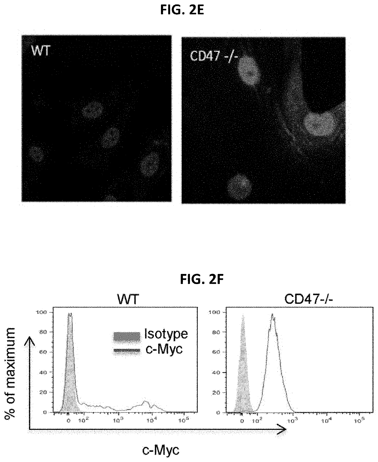 Methods for generation of pluripotent and multipotent cells