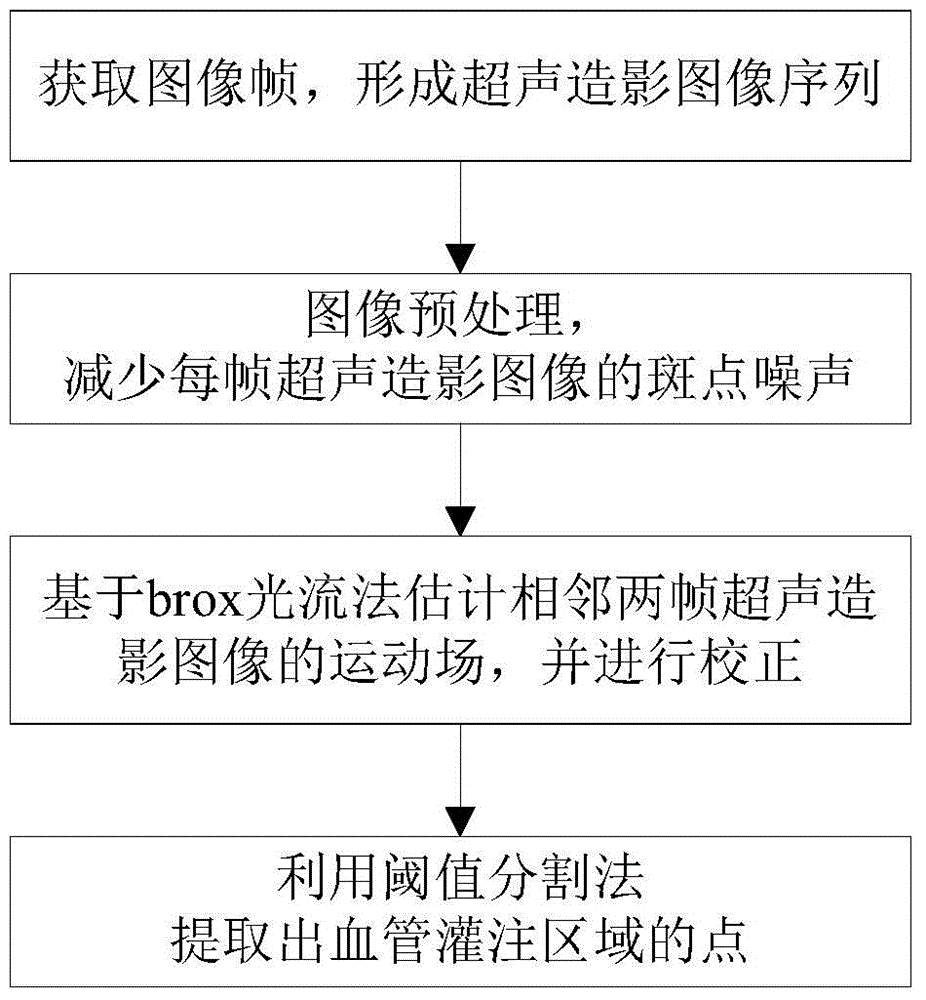 Method for extracting blood vessel perfusion region from contrast-enhanced ultrasound images based on brox optical flow method