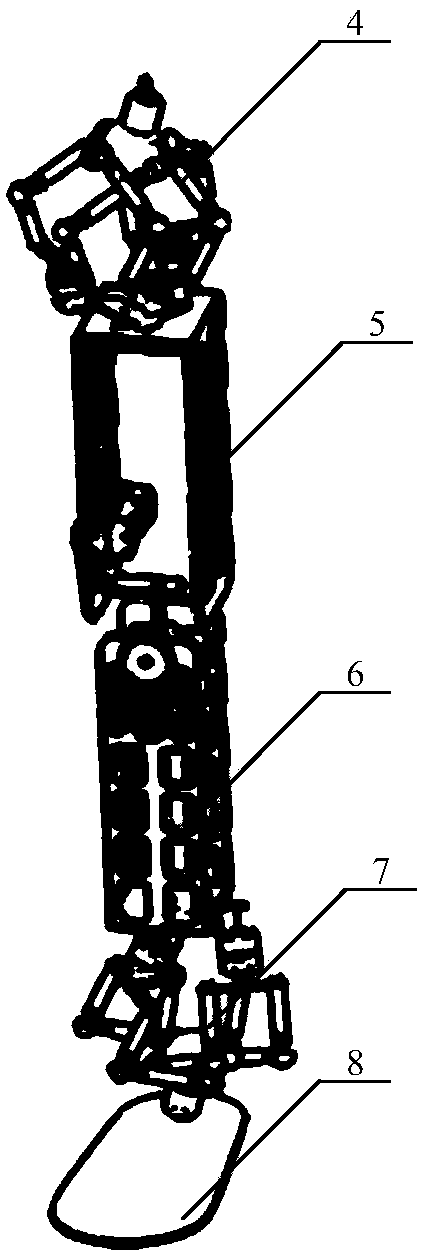 Human-like lower limb system