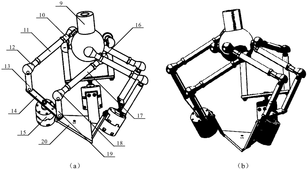 Human-like lower limb system