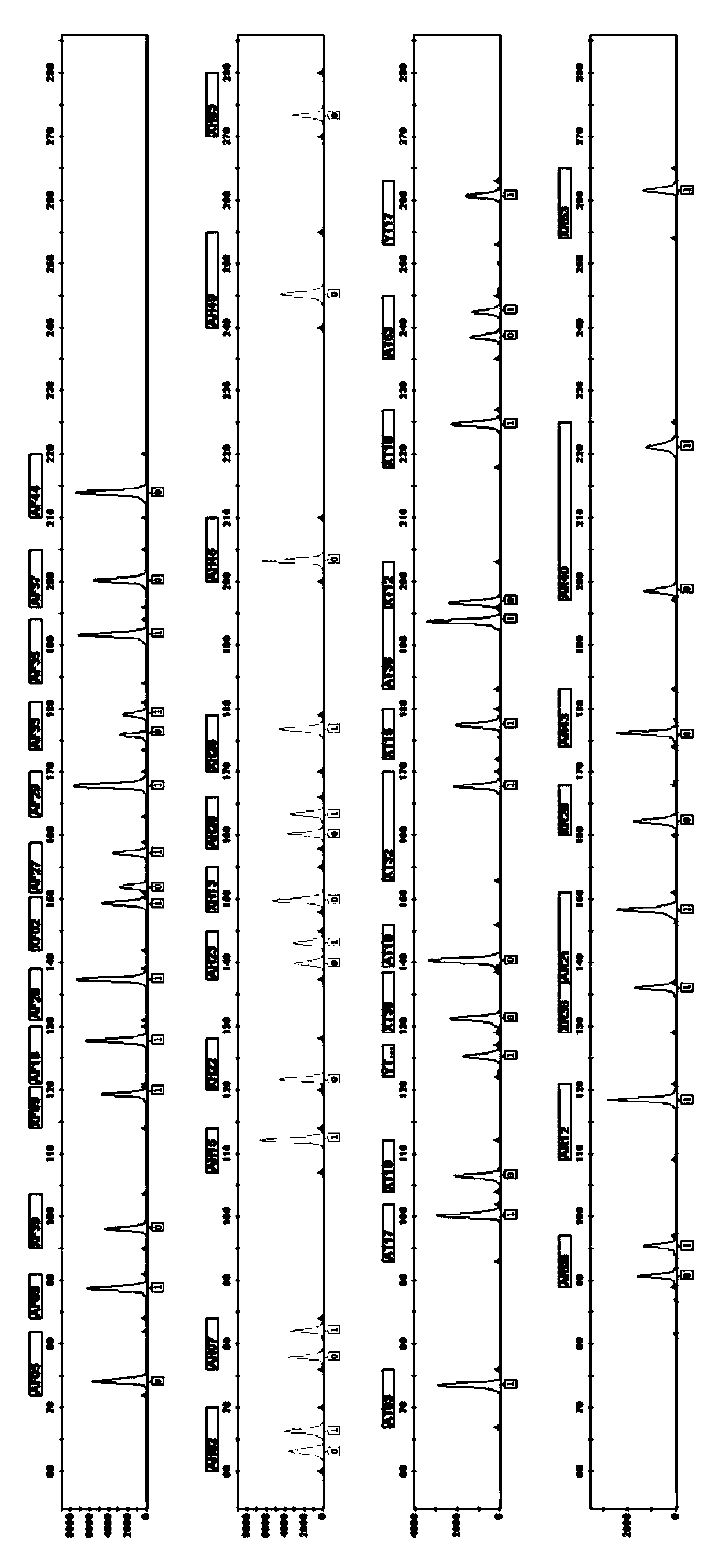 Composite amplification system for jointly detecting InDel genetic markers of human full locus group, and kit and application thereof