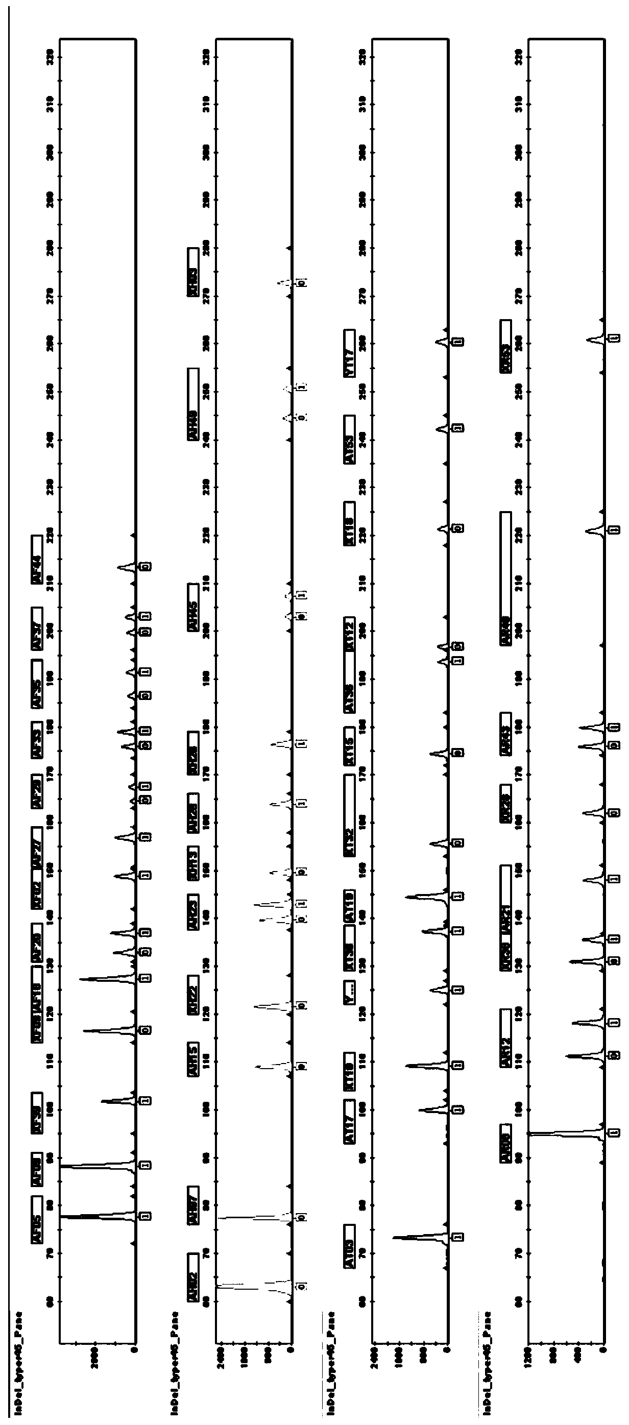 Composite amplification system for jointly detecting InDel genetic markers of human full locus group, and kit and application thereof