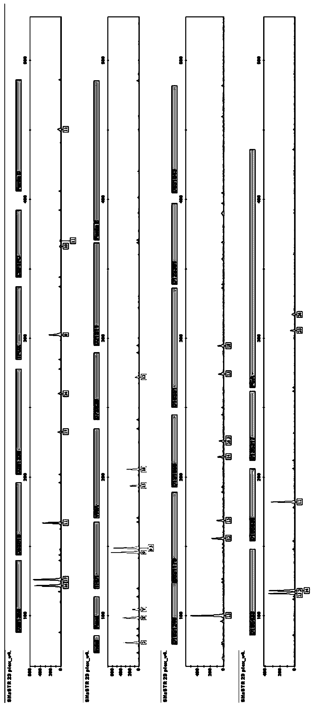 Composite amplification system for jointly detecting InDel genetic markers of human full locus group, and kit and application thereof