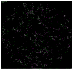 Method for testing tight oil occurrence state of reservoir stratum through CT quantitative and three-dimensional visualization