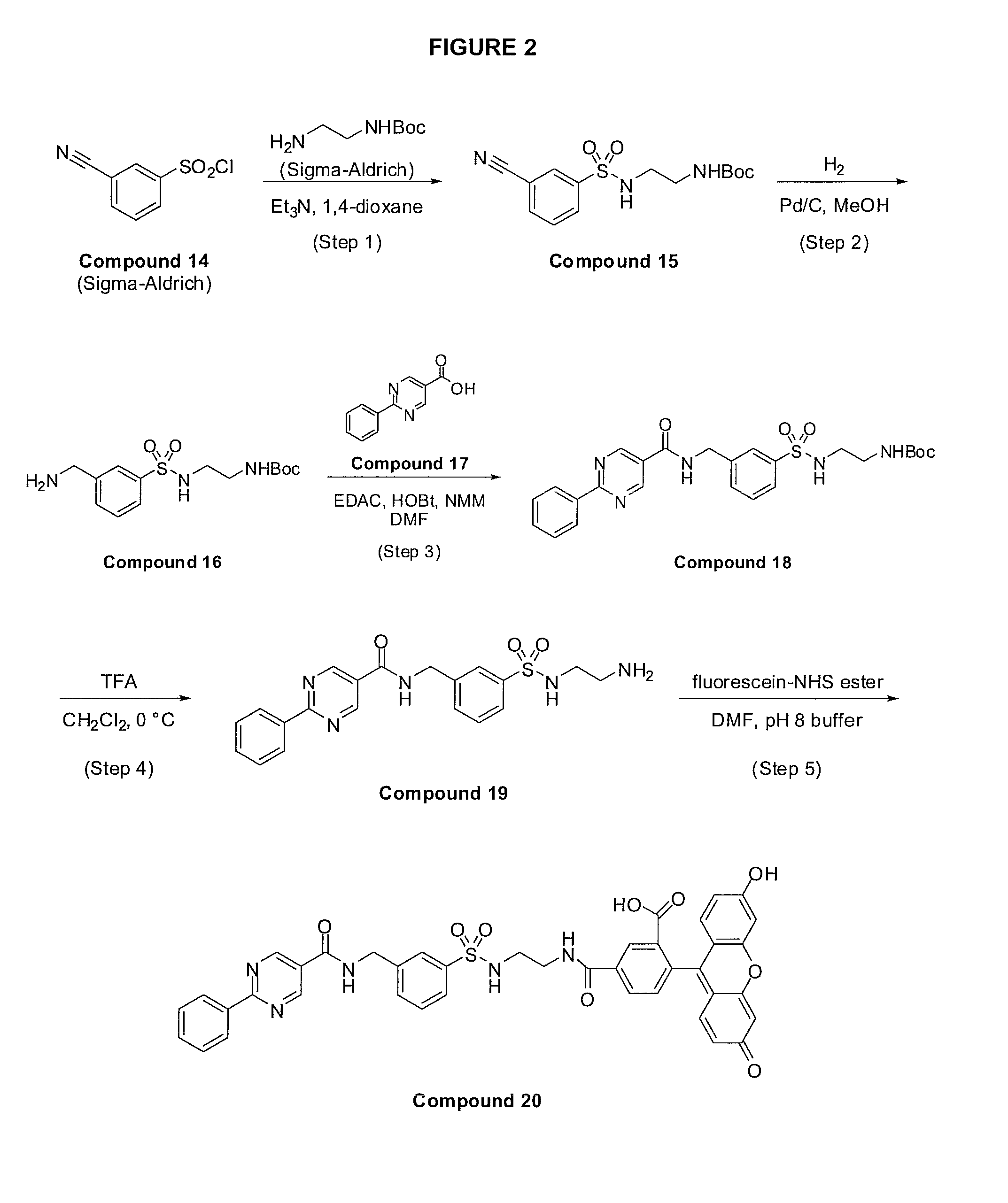 Method for assaying compounds or agents for ability to displace potent ligands of hematopoietic prostaglandin D synthase