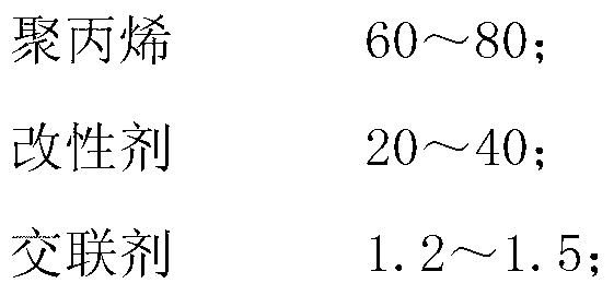 Modified micropore foaming polypropylene material and preparation method thereof