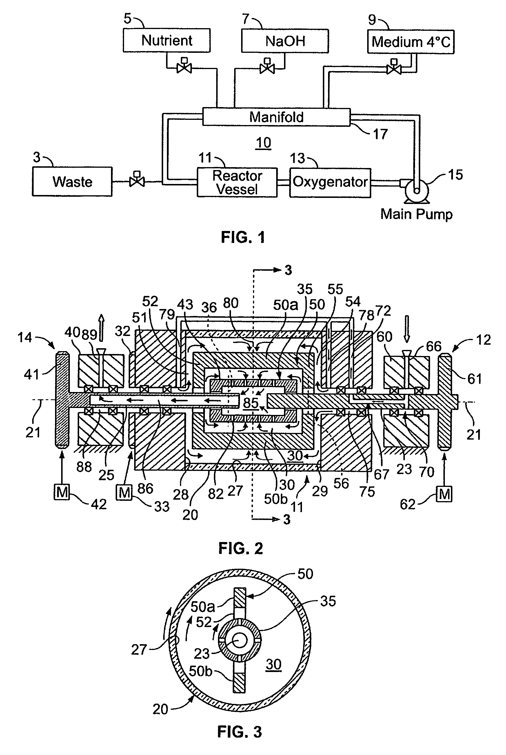 Three-dimensional cell to tissue development process