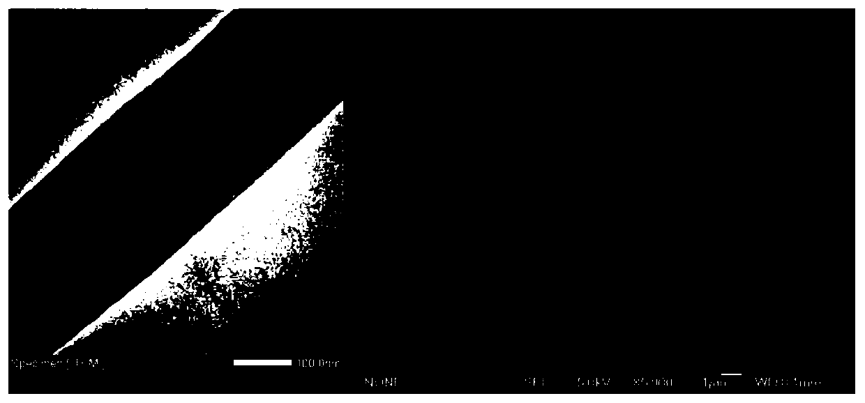 Method for preparing micro-nano fiber membrane withcore-shell structurethrough electrostatic spinning by Janus parallel needle