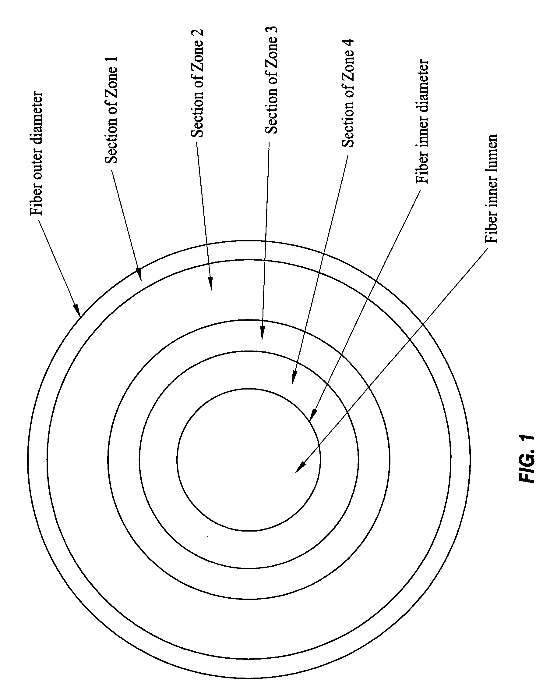 Specialized hollow fiber membranes for in-vivo plasmapheresis and ultrafiltration