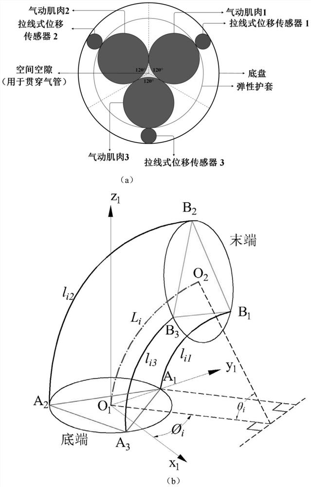 A shape detection system and method for a flexible tentacle