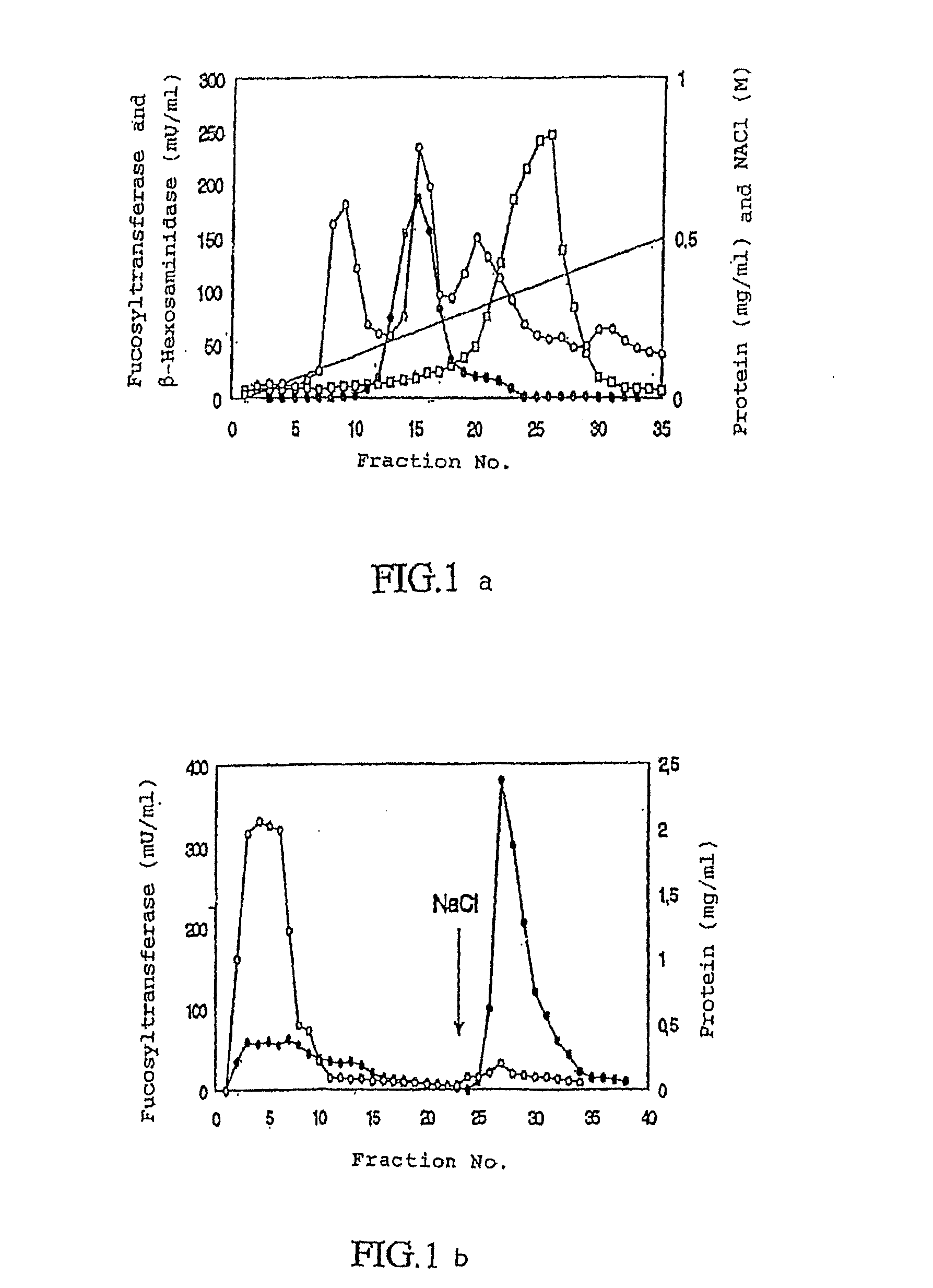 Fucosyl transferase gene