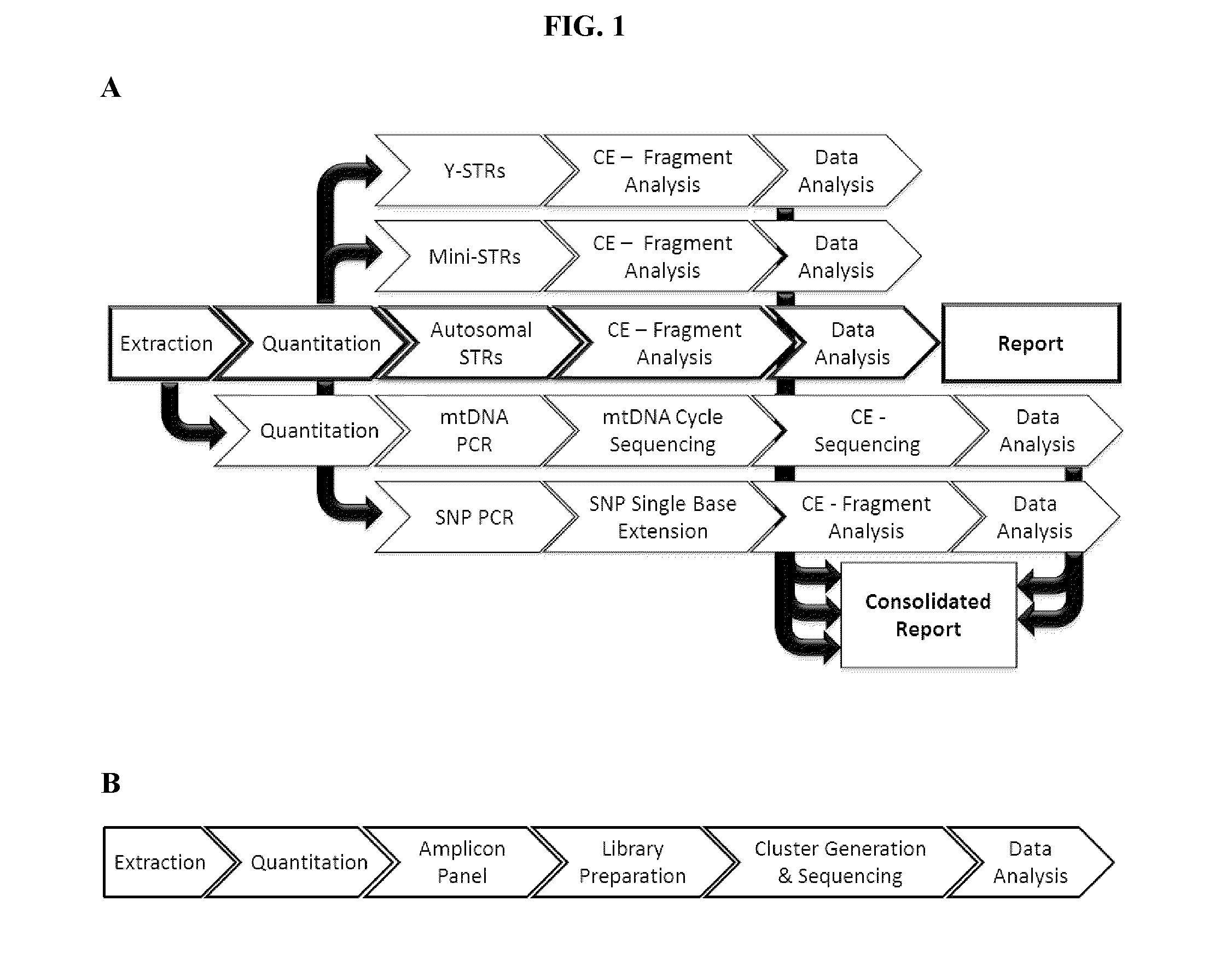 Methods and compositions for DNA profiling