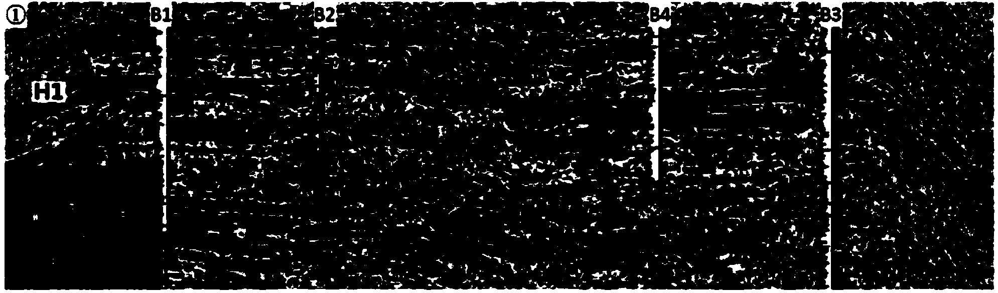 Rapid three-dimensional horizon interpretation method based on horizontal navigation